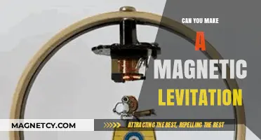Exploring the Wonders of Magnetic Levitation: A Beginner's Guide