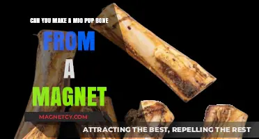 Crafting a Mio Pup Bone: The Surprising Use of Magnets