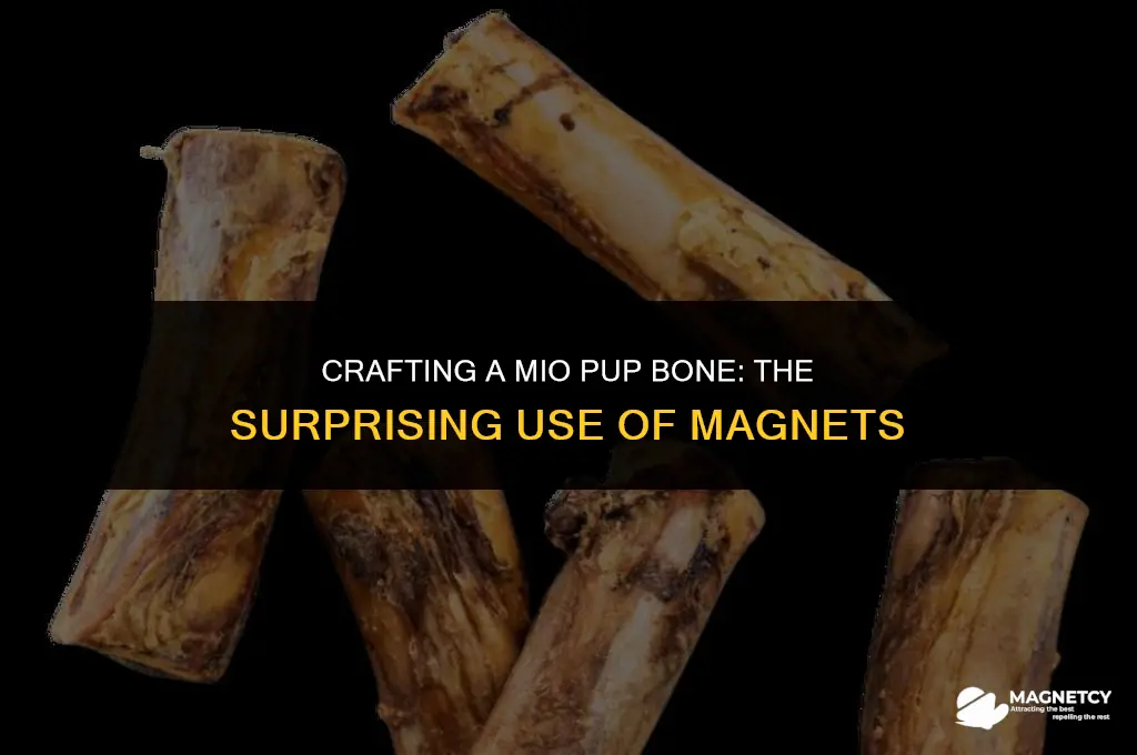 can you make a mio pup bone from a magnet
