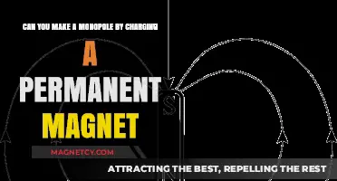 Exploring the Possibility of Creating a Monopole with Permanent Magnets