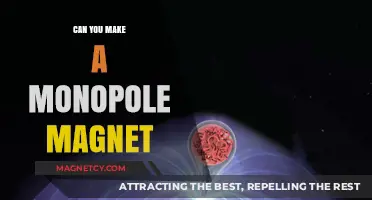 Exploring the Possibilities: Can You Create a Monopole Magnet?