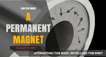 Unlocking the Secrets of Permanent Magnet Creation: A Comprehensive Guide
