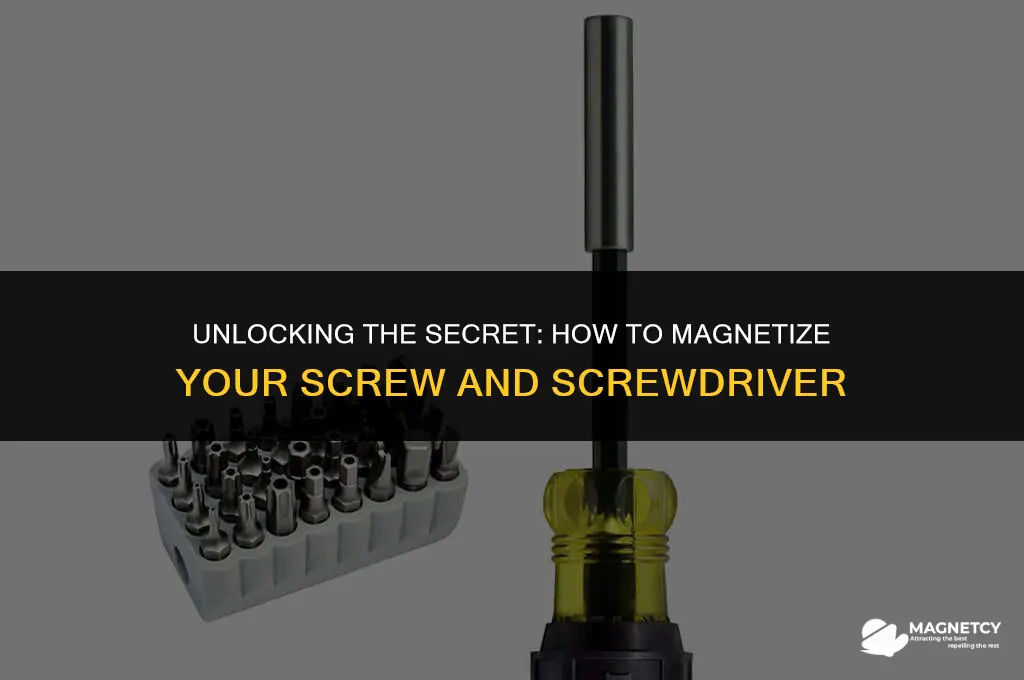 can you make a screw and screwdriver magnetic
