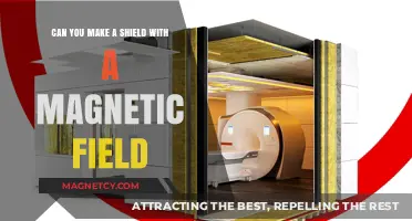 Deflecting Danger: Exploring the Potential of Magnetic Field Shields