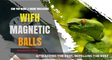 Crafting a Secure Snake Habitat Using Magnetic Balls: A DIY Guide