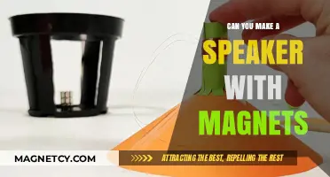 Crafting Sound: The Art of Magnet-Based Speaker Design