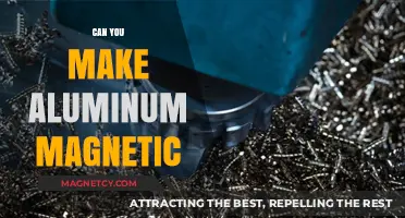 Unlocking the Magnetic Potential of Aluminum: A Scientific Exploration
