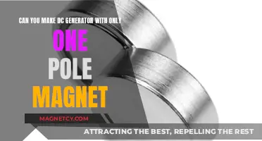 Single-Pole Magnet DC Generator: Myth or Reality?