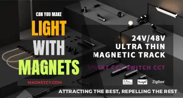 Exploring the Fascinating World of Light and Magnets: A Comprehensive Guide