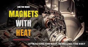Exploring the Science: Can Heat Create Magnets?