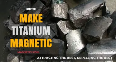 Unlocking the Magnetic Potential of Titanium: A Scientific Exploration