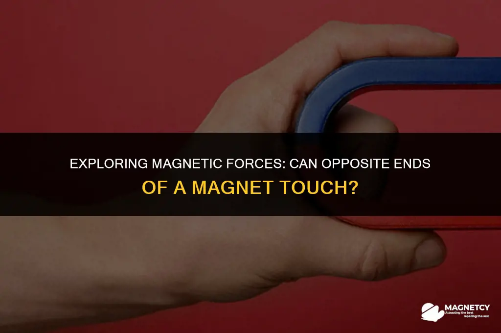 can you make to postive ends of a magnet touch