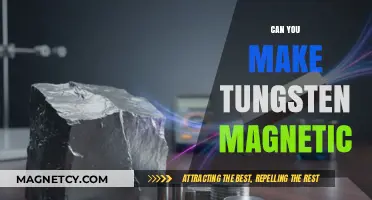 Unlocking the Magnetic Potential of Tungsten: A Scientific Exploration