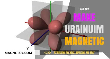 Exploring the Possibilities: Can Uranium Be Made Magnetic?