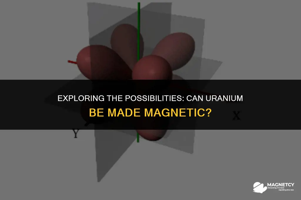can you make urainuim magnetic