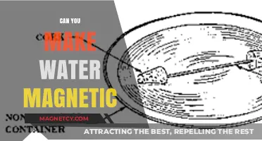 Unlocking the Secrets: Is Magnetic Water Possible?
