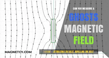 Exploring the Paranormal: Can We Measure a Ghost's Magnetic Field?
