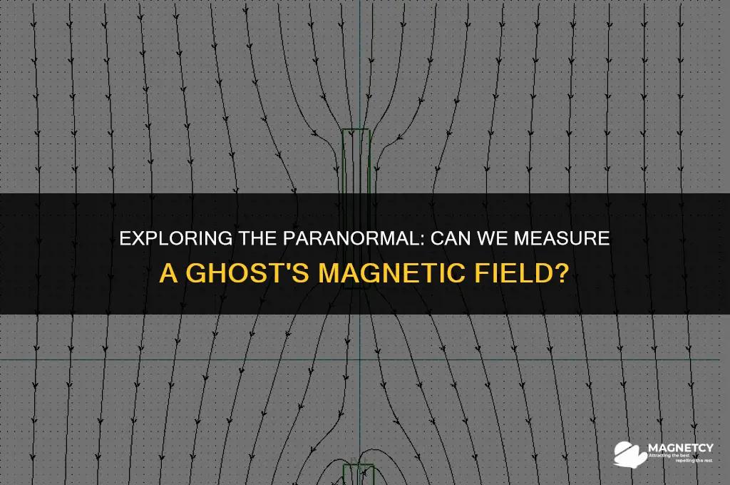 can you measure a ghosts magnetic field