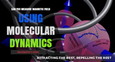 Exploring Magnetic Field Measurement Through Molecular Dynamics Simulations
