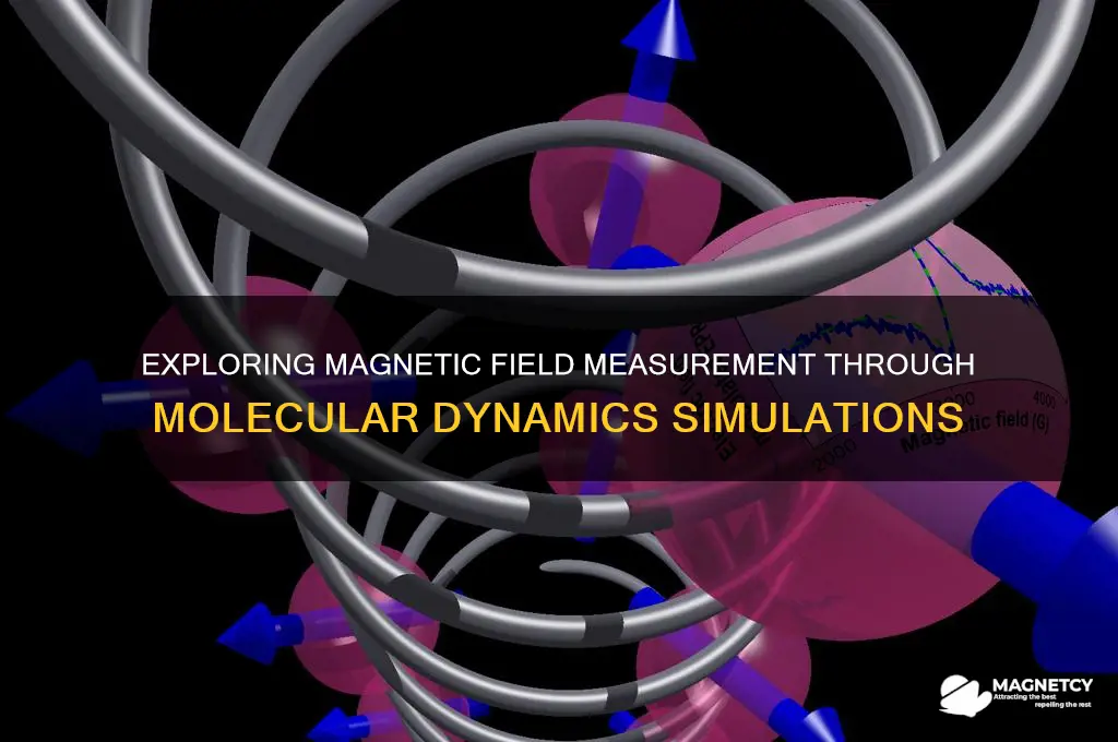 can you measure magnetic field using molecular dynamics