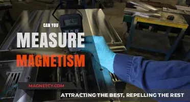 Exploring Magnetism: How to Measure Nature's Invisible Force
