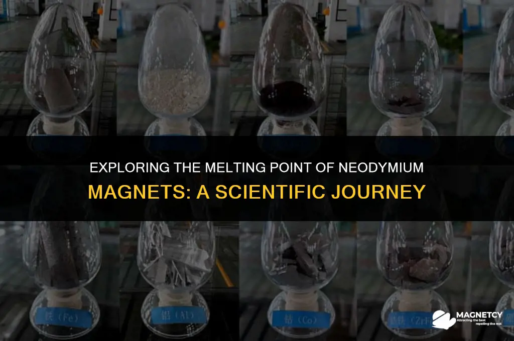 can you melt neodymium magnets