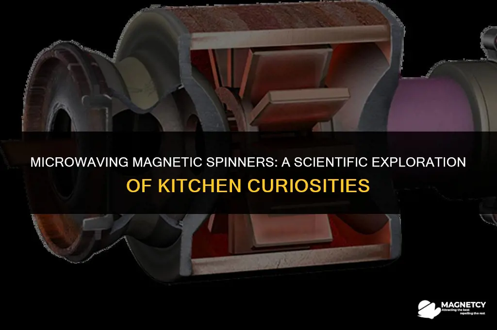 can you microwave magnetic spinners