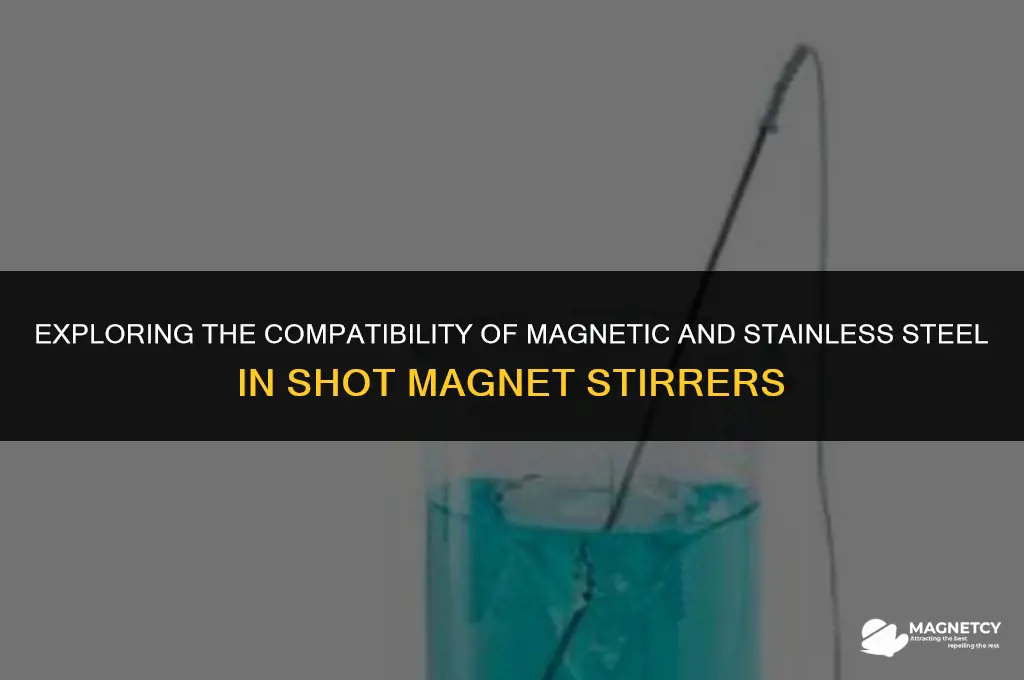 can you mix magnetic and stainless steel shot magnet stirrer
