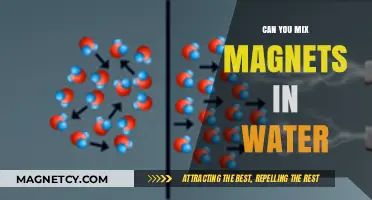Exploring Magnetic Mixtures: Can You Combine Magnets in Water?