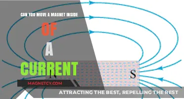 Exploring the Interaction: Can You Move a Magnet Inside a Current?