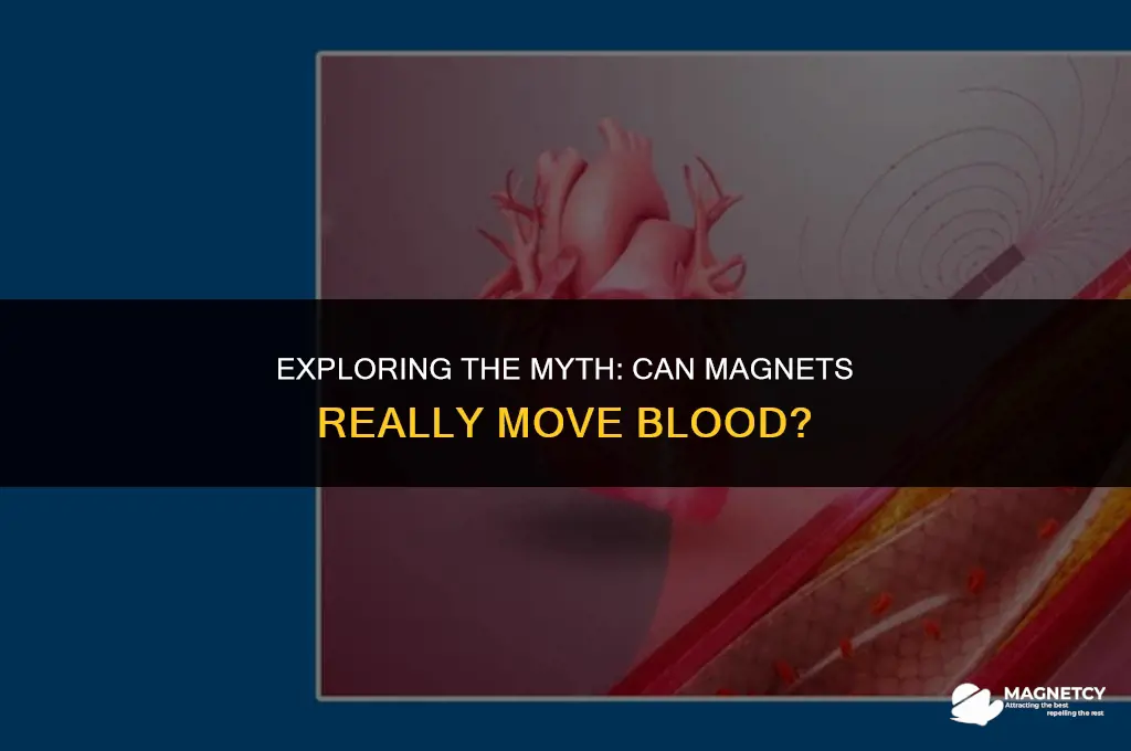 can you move blood with a magnet
