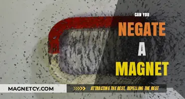 Exploring the Possibilities: Can You Really Negate a Magnet?