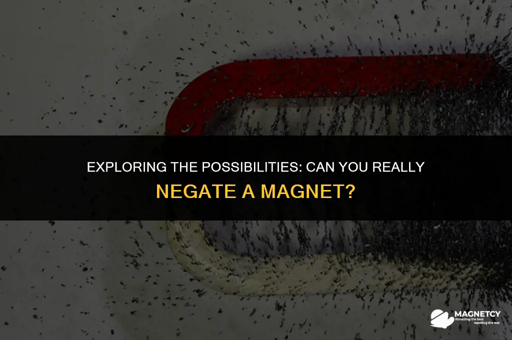 can you negate a magnet