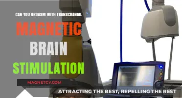 Exploring Pleasure: TMS and the Science of Orgasm