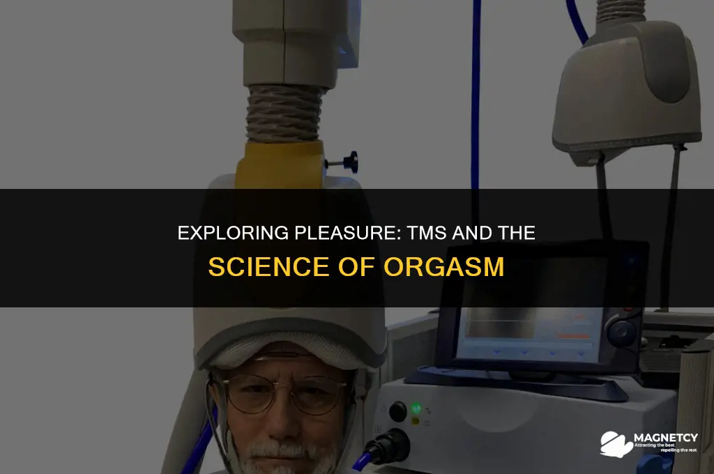 can you orgasm with transcranial magnetic brain stimulation