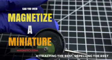 Exploring the Limits: Can You Over-Magnetize a Miniature?