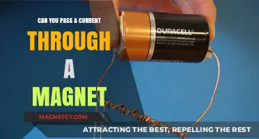 Exploring the Conductivity of Magnets: Can You Pass a Current?