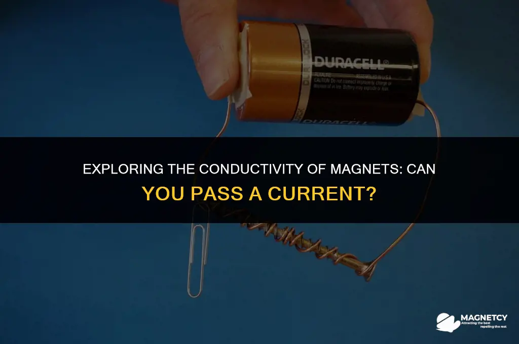 can you pass a current through a magnet