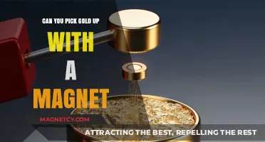 Unveiling the Truth: Can You Really Pick Up Gold with a Magnet?