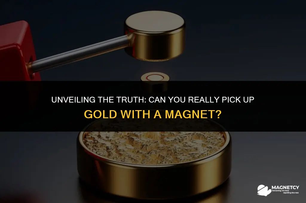 can you pick gold up with a magnet