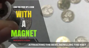 Magnetic Attraction: The Surprising Truth About Coins and Magnets