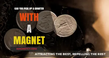 Magnetic Attraction: The Surprising Truth About Quarters and Magnets
