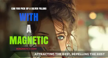 Unveiling the Truth: Can Magnetic Forces Attract Silver Fillings?