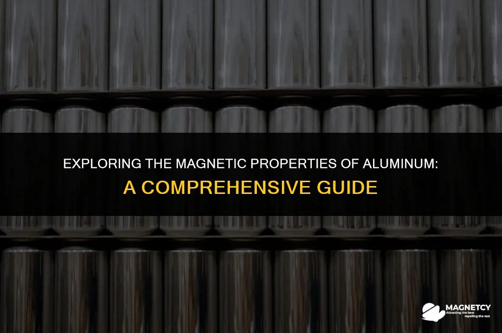 can you pick up aluminum with a magnet