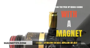 Exploring the Magnetic Properties of Brass Casings: A Comprehensive Guide