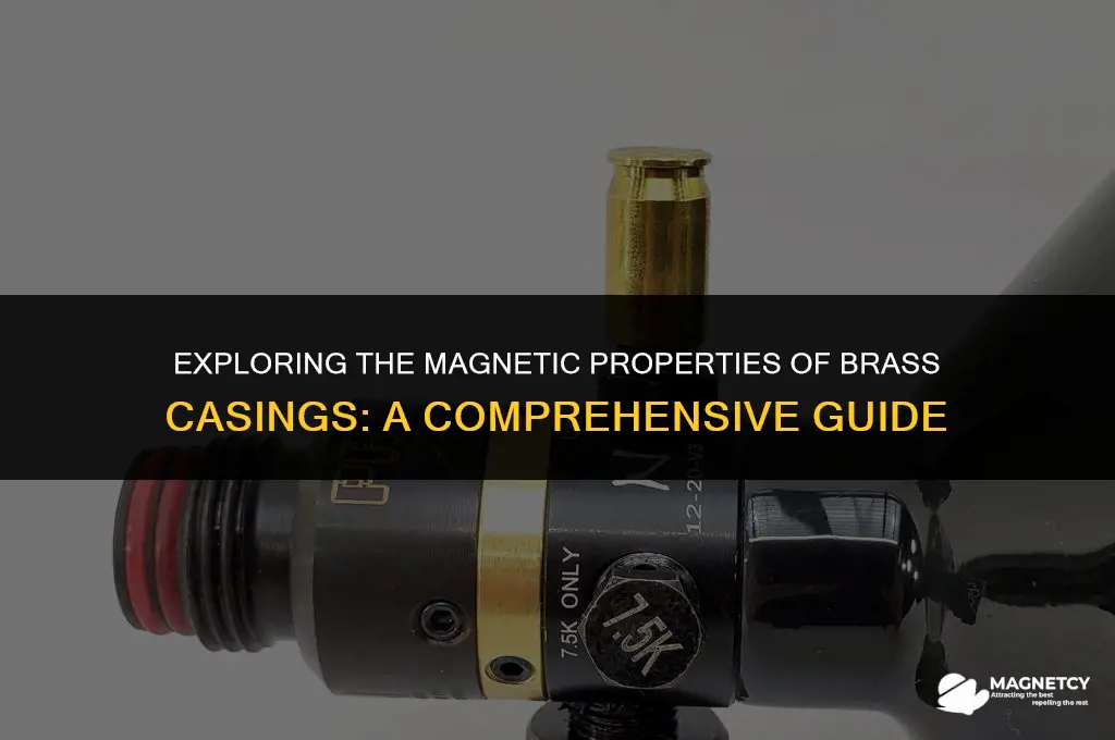 can you pick up brass casing with a magnet