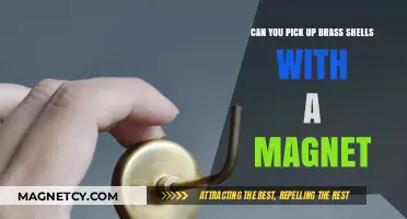 Discovering the Truth: Can Magnets Attract Brass Shells?
