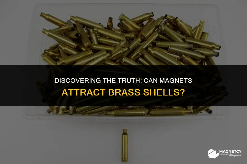 can you pick up brass shells with a magnet