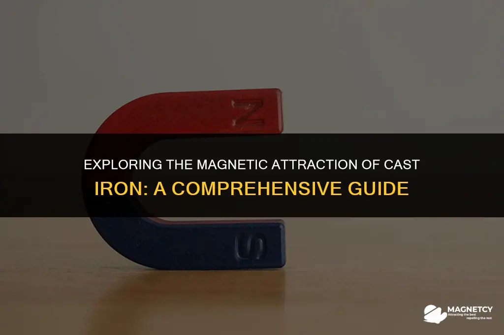 can you pick up cast iron with magnet