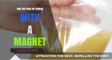 Magnetic Breakfast: The Surprising Science Behind Cereal Attraction